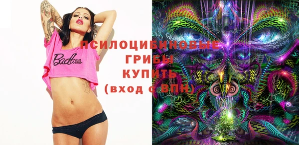 сатива Абаза