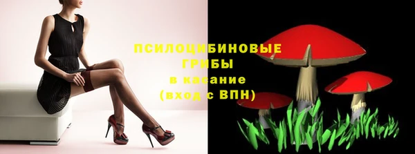 сатива Абаза