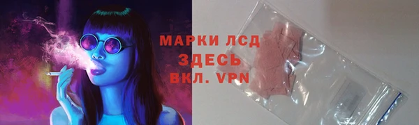 сатива Абаза