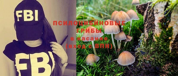 сатива Абаза