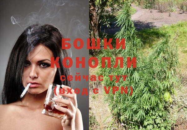 сатива Абаза