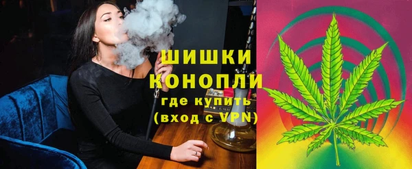 сатива Абаза