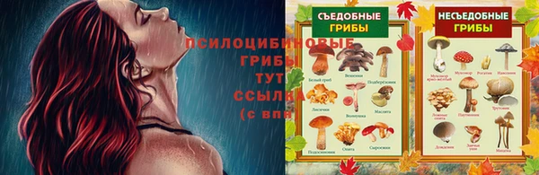 бошки Абинск