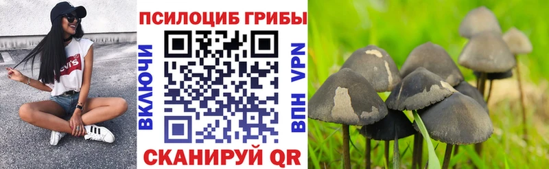 Галлюциногенные грибы Magic Shrooms Каргополь